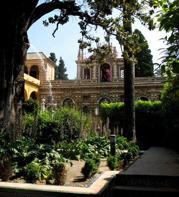 SEVILLA: No, the water is not spouting from the tree.