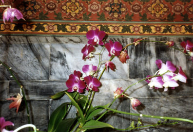 Flowers in front of a Buddhist altar in one of the temples in the Wat Po complex.