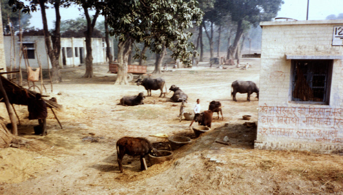 View of a village on the road between Varanasi and Patna.