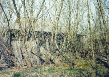 The village of Zaliss'a near Pripyat (April 26, 1999)