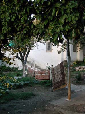 SELÇUK: We managed to get away from the carpet merchants for a stroll into the nearby countryside, where we saw--carpets!