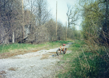 Abandoned bike in opening of trial.