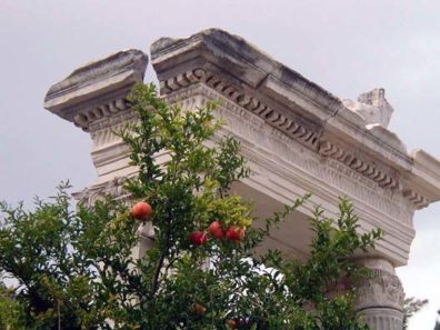 EPHESUS: The main reason people come to Selçuk is to visit nearby Ephesus (Efes). This is one of the largest and most popular archeological sites in Turkey, and can get crowded in summer. Even in late September the crowds were fairly thick. Many Christian groups tour the area, retracing the footsteps of Paul ("Letters to the Ephesians"). When we went down to breakfast in the Hotel Kale Han on a Tuesday morning we encountered a German group engaged in a private worship service. Here we saw heavily laden pomegranate trees among the ruins. At the exit, we enjoyed fresh-squeezed pomegranate-orange drinks. Incidentally, Efes beer is the most popular brand in Turkey, advertised everywhere.