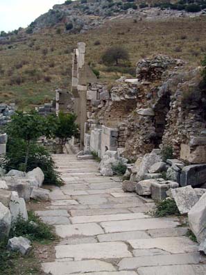 EPHESUS: You have a tough choice here. The site is confusing without a tour guide (the Lonely Planet book recommends you start at the top but then describes the site working up from the bottom--and none too clearly); and a tour guide will want to hurry you through this huge site faster than you may wish to go. We took our time and managed to figure out most of the sights. We talked with other tourists and eavesdropped on tour guides lecturing in English, French, German, Spanish, and Italian. It's bad form to attach yourself to a tour you haven't paid for; but occasionally listening in while they're sharing the space is almost unavoidable. If we had known how complicated the site was we would have purchased a book at the entrance.