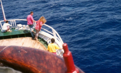 AEGEAN SEA: June 2 the boat from Naxos to Amorgos took us across an Aegean Sea that was really this color. See the fleck of white foam the people are looking at? A dolphin had just plunged back down after surfacing there. We were escorted to Amorgos by dozens of them.