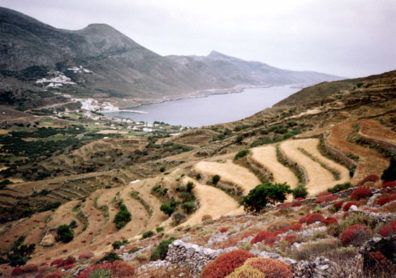 AMORGOS: View of the harbor of Ormos, where we first arrived.