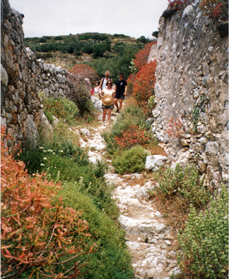 AMORGUS: The steep tracks were often lined with dry stone walls.