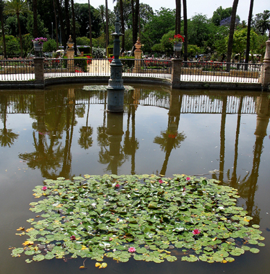 SEVILLA: In the pond in front of the Archeological Museum, Sevilla
