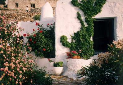 AMORGOS: Beautiful flowers maintained by her sister-in-law, Carolina, who has lived in the village for many years.