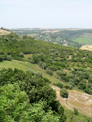 VEJER DE LA FRONTERA: The view out our apartment window, on the edge of this hilltop town.