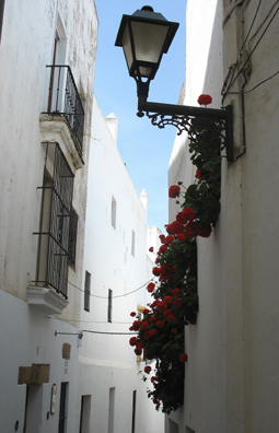 VEJER DE LA FRONTERA: More narrow streets, lined with beautiful flowers.