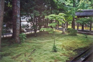 KYOTO: The temple also has a moss garden. The Japanese cultivate blocks of moss as we do sod for lawns in our country.