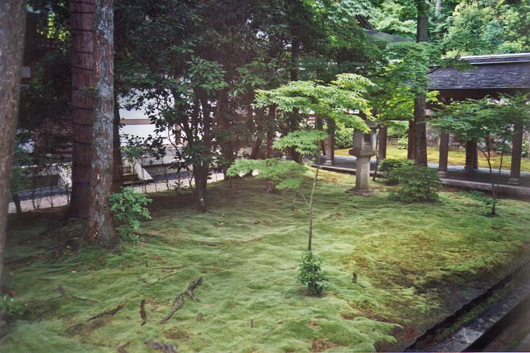 KYOTO: The temple also has a moss garden. The Japanese cultivate blocks of moss as we do sod for lawns in our country.