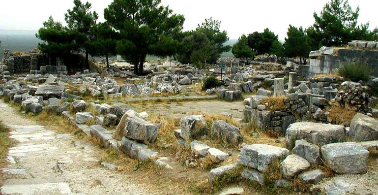 PRIENE: From Selçuk many tourists also take day-tours to other nearby sites down the coast. Priene is for serious antiquity buffs; rich in history but poor in knock-your-eye-out things to see. You need a good guide. Fortunately we had one.