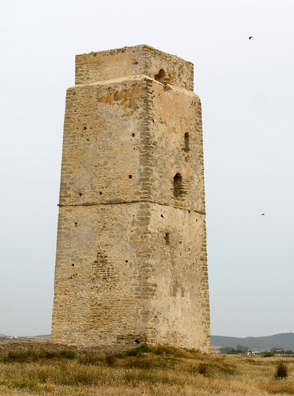 CONIL: A walk south takes you to the Torre del Castilnovo, the sole remnant of a Medieval fort which used to defend the coast from Barbary pirates and other invaders.
