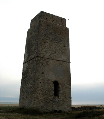 CONIL: The specks in the sky are birds which gathered as the sun began to sink toward the horizon at Torre del Castilnovo.