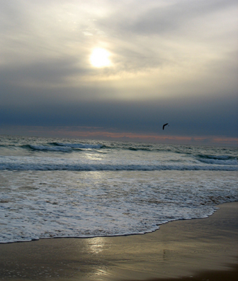 CONIL: Only the chill of approaching evening persuaded us to leave this enchanting spot.