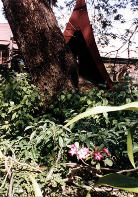 The gardens were rather jungly in appearance.