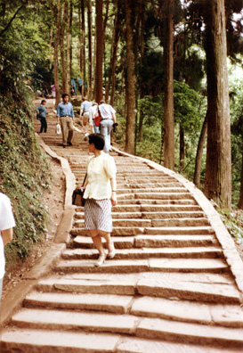 QINGSHEN: Elegantly-dressed Chinese (even elderly folks) strode past us without breathing hard. All that bicycle riding and walking keeps them in shape! The path was lined with vendors of souvenirs and snacks. This was one of the few non-infested spots on the trail.