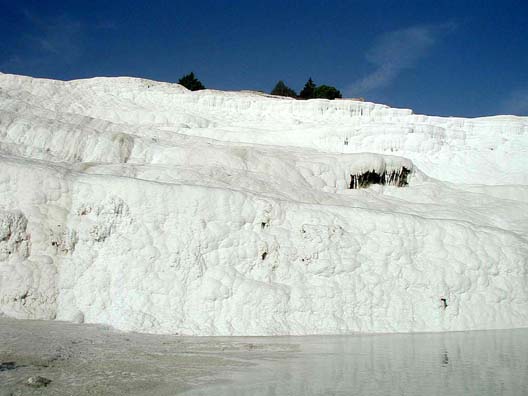 PAMUKKALE: Close-up of the cliff face in back of one of the abandoned hotel pools. Note the way the calcium deposits are smothering the bushes part way up.