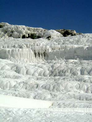 PAMUKKALE: Details of the deposits. A still-growing bush being coated in calcium deposits suggests how rapidly the stuff builds up.