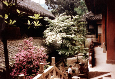 QINGSHEN: The gardens were quite beautiful.
