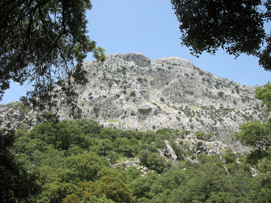 PARQUE NATURAL DE LOS ALCORNOCALES: View of the mountain behind the picnic spot.