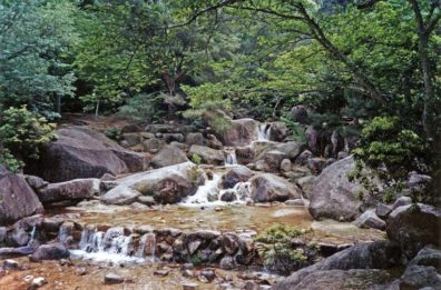 MIYAJIMA: Note the Japanese penchant for improving on nature--an artificial cascade has been added to this stream in the foreground. Taken along the path to the chairlift up Mt. Mizen on Miyajima Island, one of the famed beauty spots of Japan. May 18, 1998