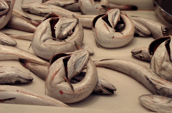 MALAGE: Fish in the next stall biting their own tails., Mercado Central de Atarazanas.