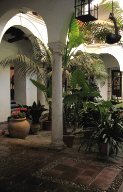 MALAGE: Also near the hotel was the wonderful little Museo de Artes y Costumbres Populares (Museum of Popular Arts and Customs), housed in a lovely old building with a central patio.