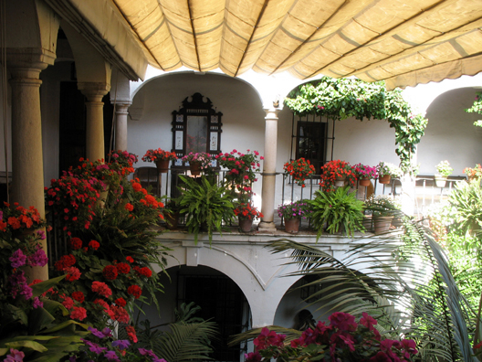 MALAGE: View of the covered patio from the second story.