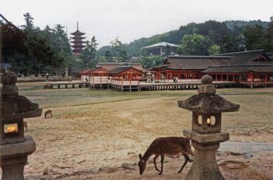 MIYAJIMA: The tide was out and deer were grazing where water normally surrounds the Itsukushima Shrine, which is actually an old palace containing a famous Noh stage. The first palace on this site was built in the latter half of the 6th century, but the current buildings date from 1168. Note the lights in the stone lantern. It was getting late, and they came on as we were walking by. One old man was out clam-digging in the flats.