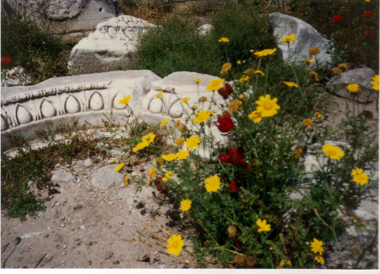 CORINTH: This fragment of egg-and-dart masonry inspired us to invent the egg-and-dart breakfast: poached eggs with asparagus spears.