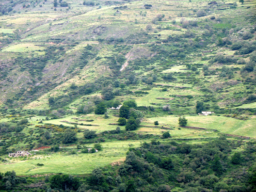 LAS ALPUJARRAS: Terraced slopes to the west.