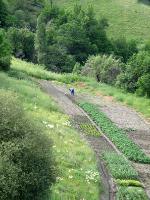 LAS ALPUJARRAS: Vegetables are grown in small plots below Capileira