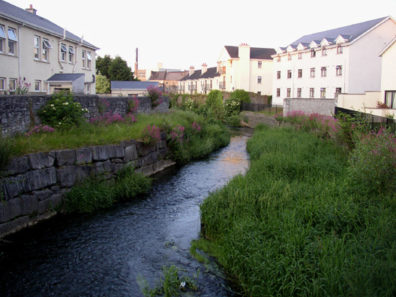 KILKENNY: The little River Bregagh, which flows into the much larger River Nore in the middle of Kilkenny.