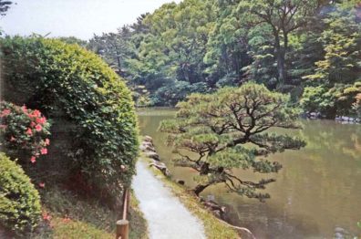 HIROSHIMA: Every tree and shrub in such a garden is carefully pruned to produce an artistic impression. We saw many gardeners doing such work. May 19, 1998