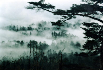 MT. EMEI: The site is famed for its views of misty forests below (commercial photo).