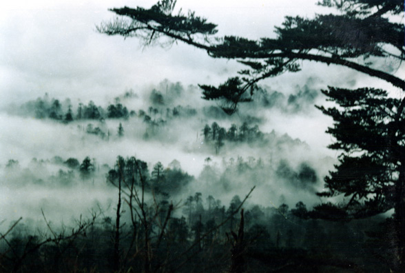 MT. EMEI: The site is famed for its views of misty forests below (commercial photo).