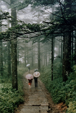 MT. EMEI: Another idyllic photo sold on the site.