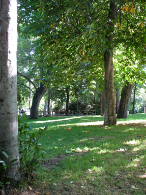 MADRID: We rested for a while in the shade of tall trees.