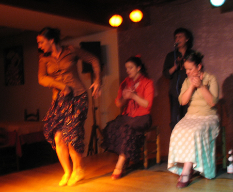 MADRID: One night we enjoyed an excellent meal and flamenco show at the Tablao Flamenco Restaurante (Plaza del Conde de Miranda, 1). A guide later explained to us the etymology of the term flamenco, which literally means “Flemish.” Many years ago Spaniards tended to imagine that the gypsies who performed the music had come from Flanders.