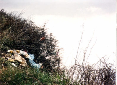 MT. EMEI: Tradition says some visitors were so moved by the beauty of this spot that they threw themselves over the cliff in ecstasy. It seemed that modern visitors were more inclined to throw their trash over the cliff.