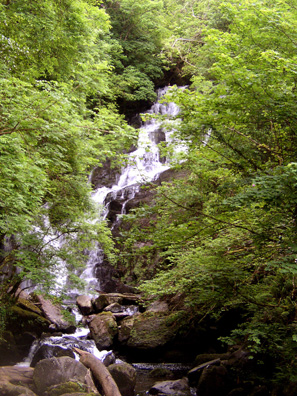 KILLARNEY NAT. PARK: It's a very short walk to the beautiful Torc Waterfall.