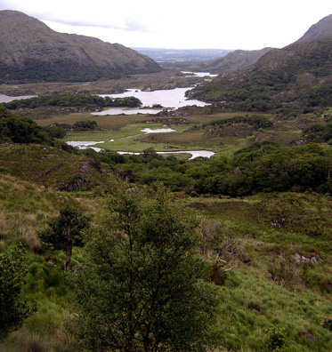 KILLARNEY NAT PARK: Higher up in the park is a rare chance to pull off the extremely narrow road and admire the landscape: Ladies View.
