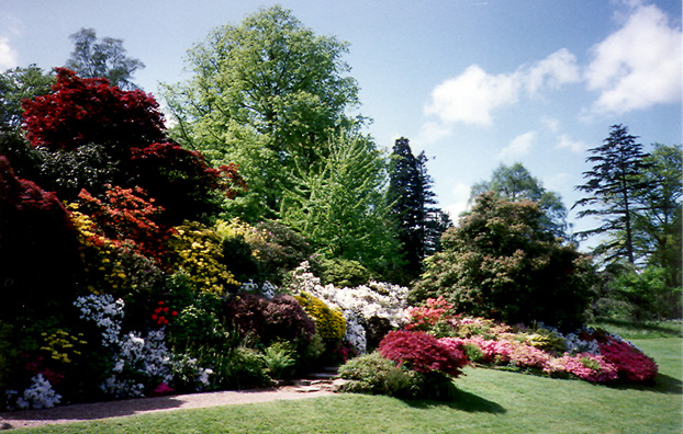 HEVER CASTLE: Flowers in the garden.