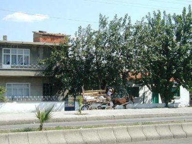 CANAKKALE: Çanakkale is a modern town, with plenty of trucks and cars thronging the streets, but we also saw a surprising number of horse-drawn wagons hauling all manner of goods. Here an old woman uses a whip on her animal as it plods along the main thoroughfare of town.