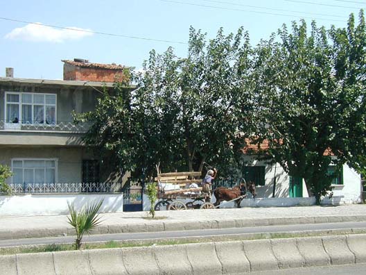 CANAKKALE: Çanakkale is a modern town, with plenty of trucks and cars thronging the streets, but we also saw a surprising number of horse-drawn wagons hauling all manner of goods. Here an old woman uses a whip on her animal as it plods along the main thoroughfare of town.