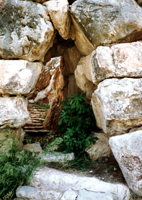 TIRYNS: We descended the "secret" stair which the inhabitants used during seiges to gain access to their fountain.
