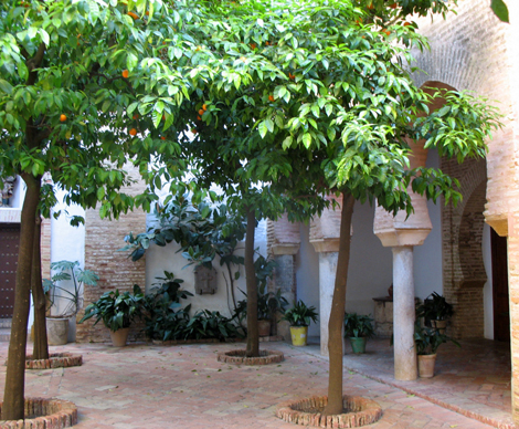 CARMONA: Like many other Andalucian churches, this one was built on the ruins of a Moorish mosque. Remaining from that period is the enclosed courtyard at the entrance where Muslim worshipers would have washed before entering to pray.
